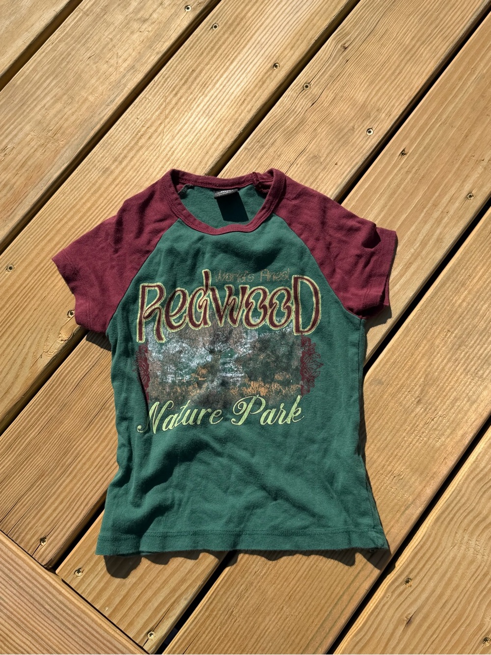 Urban Outfitters Green and Burgundy Raglan 'Redwood Nature Park' Tee